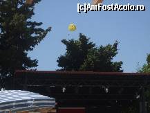 [P145] Parasailling pe plaja...Kustur ! » foto by bigu_2006_rapid
 - 
<span class="allrVoted glyphicon glyphicon-heart hidden" id="av135409"></span>
<a class="m-l-10 hidden" id="sv135409" onclick="voting_Foto_DelVot(,135409,366)" role="button">șterge vot <span class="glyphicon glyphicon-remove"></span></a>
<a id="v9135409" class=" c-red"  onclick="voting_Foto_SetVot(135409)" role="button"><span class="glyphicon glyphicon-heart-empty"></span> <b>LIKE</b> = Votează poza</a> <img class="hidden"  id="f135409W9" src="/imagini/loader.gif" border="0" /><span class="AjErrMes hidden" id="e135409ErM"></span>