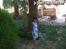 [P179] Tory la ultima poza de la Vera ! langa palmierul din fata camerei noastre ! » foto by bigu_2006_rapid
 - 
<span class="allrVoted glyphicon glyphicon-heart hidden" id="av135443"></span>
<a class="m-l-10 hidden" id="sv135443" onclick="voting_Foto_DelVot(,135443,366)" role="button">șterge vot <span class="glyphicon glyphicon-remove"></span></a>
<a id="v9135443" class=" c-red"  onclick="voting_Foto_SetVot(135443)" role="button"><span class="glyphicon glyphicon-heart-empty"></span> <b>LIKE</b> = Votează poza</a> <img class="hidden"  id="f135443W9" src="/imagini/loader.gif" border="0" /><span class="AjErrMes hidden" id="e135443ErM"></span>