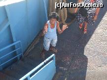 [P191] Tory danseaza pe ferry-boat ! » foto by bigu_2006_rapid
 - 
<span class="allrVoted glyphicon glyphicon-heart hidden" id="av135455"></span>
<a class="m-l-10 hidden" id="sv135455" onclick="voting_Foto_DelVot(,135455,366)" role="button">șterge vot <span class="glyphicon glyphicon-remove"></span></a>
<a id="v9135455" class=" c-red"  onclick="voting_Foto_SetVot(135455)" role="button"><span class="glyphicon glyphicon-heart-empty"></span> <b>LIKE</b> = Votează poza</a> <img class="hidden"  id="f135455W9" src="/imagini/loader.gif" border="0" /><span class="AjErrMes hidden" id="e135455ErM"></span>