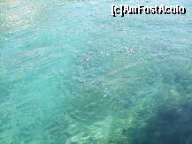 [P30] Pestii iau ...pranzul ! » foto by bigu_2006_rapid
 - 
<span class="allrVoted glyphicon glyphicon-heart hidden" id="av134445"></span>
<a class="m-l-10 hidden" id="sv134445" onclick="voting_Foto_DelVot(,134445,366)" role="button">șterge vot <span class="glyphicon glyphicon-remove"></span></a>
<a id="v9134445" class=" c-red"  onclick="voting_Foto_SetVot(134445)" role="button"><span class="glyphicon glyphicon-heart-empty"></span> <b>LIKE</b> = Votează poza</a> <img class="hidden"  id="f134445W9" src="/imagini/loader.gif" border="0" /><span class="AjErrMes hidden" id="e134445ErM"></span>