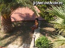 [P62] Tory in ...relache ! » foto by bigu_2006_rapid
 - 
<span class="allrVoted glyphicon glyphicon-heart hidden" id="av134529"></span>
<a class="m-l-10 hidden" id="sv134529" onclick="voting_Foto_DelVot(,134529,366)" role="button">șterge vot <span class="glyphicon glyphicon-remove"></span></a>
<a id="v9134529" class=" c-red"  onclick="voting_Foto_SetVot(134529)" role="button"><span class="glyphicon glyphicon-heart-empty"></span> <b>LIKE</b> = Votează poza</a> <img class="hidden"  id="f134529W9" src="/imagini/loader.gif" border="0" /><span class="AjErrMes hidden" id="e134529ErM"></span>