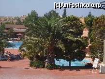 [P68] Alt palmier frumos la Adaland ! In spatele palmierului este un urias...jacuzzi ! » foto by bigu_2006_rapid
 - 
<span class="allrVoted glyphicon glyphicon-heart hidden" id="av134544"></span>
<a class="m-l-10 hidden" id="sv134544" onclick="voting_Foto_DelVot(,134544,366)" role="button">șterge vot <span class="glyphicon glyphicon-remove"></span></a>
<a id="v9134544" class=" c-red"  onclick="voting_Foto_SetVot(134544)" role="button"><span class="glyphicon glyphicon-heart-empty"></span> <b>LIKE</b> = Votează poza</a> <img class="hidden"  id="f134544W9" src="/imagini/loader.gif" border="0" /><span class="AjErrMes hidden" id="e134544ErM"></span>