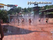 [P75] Eu si Mihai dansand...dansul ploii !(in mijloc).Langa noi Tory » foto by bigu_2006_rapid
 - 
<span class="allrVoted glyphicon glyphicon-heart hidden" id="av134563"></span>
<a class="m-l-10 hidden" id="sv134563" onclick="voting_Foto_DelVot(,134563,366)" role="button">șterge vot <span class="glyphicon glyphicon-remove"></span></a>
<a id="v9134563" class=" c-red"  onclick="voting_Foto_SetVot(134563)" role="button"><span class="glyphicon glyphicon-heart-empty"></span> <b>LIKE</b> = Votează poza</a> <img class="hidden"  id="f134563W9" src="/imagini/loader.gif" border="0" /><span class="AjErrMes hidden" id="e134563ErM"></span>