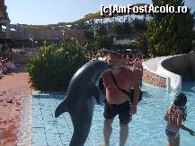 [P79] Si eu am incercat sa-l ...pup ! » foto by bigu_2006_rapid
 - 
<span class="allrVoted glyphicon glyphicon-heart hidden" id="av134572"></span>
<a class="m-l-10 hidden" id="sv134572" onclick="voting_Foto_DelVot(,134572,366)" role="button">șterge vot <span class="glyphicon glyphicon-remove"></span></a>
<a id="v9134572" class=" c-red"  onclick="voting_Foto_SetVot(134572)" role="button"><span class="glyphicon glyphicon-heart-empty"></span> <b>LIKE</b> = Votează poza</a> <img class="hidden"  id="f134572W9" src="/imagini/loader.gif" border="0" /><span class="AjErrMes hidden" id="e134572ErM"></span>