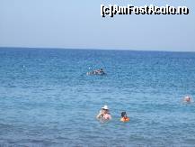 [P85] Tory pe salteaua lui Mihai ! O pilota Gaby !Ca ea nici macar din ...labe nu dadea ! Ha! Ha! Ha ! » foto by bigu_2006_rapid
 - 
<span class="allrVoted glyphicon glyphicon-heart hidden" id="av134582"></span>
<a class="m-l-10 hidden" id="sv134582" onclick="voting_Foto_DelVot(,134582,366)" role="button">șterge vot <span class="glyphicon glyphicon-remove"></span></a>
<a id="v9134582" class=" c-red"  onclick="voting_Foto_SetVot(134582)" role="button"><span class="glyphicon glyphicon-heart-empty"></span> <b>LIKE</b> = Votează poza</a> <img class="hidden"  id="f134582W9" src="/imagini/loader.gif" border="0" /><span class="AjErrMes hidden" id="e134582ErM"></span>