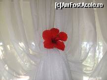 [P94] Ce culoare putea avea floarea asta ! de necrezut ! » foto by bigu_2006_rapid
 - 
<span class="allrVoted glyphicon glyphicon-heart hidden" id="av134597"></span>
<a class="m-l-10 hidden" id="sv134597" onclick="voting_Foto_DelVot(,134597,366)" role="button">șterge vot <span class="glyphicon glyphicon-remove"></span></a>
<a id="v9134597" class=" c-red"  onclick="voting_Foto_SetVot(134597)" role="button"><span class="glyphicon glyphicon-heart-empty"></span> <b>LIKE</b> = Votează poza</a> <img class="hidden"  id="f134597W9" src="/imagini/loader.gif" border="0" /><span class="AjErrMes hidden" id="e134597ErM"></span>