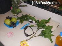 [P55] ramuri de mandarine verzi ! » foto by bigu_2006_rapid
 - 
<span class="allrVoted glyphicon glyphicon-heart hidden" id="av15956"></span>
<a class="m-l-10 hidden" id="sv15956" onclick="voting_Foto_DelVot(,15956,366)" role="button">șterge vot <span class="glyphicon glyphicon-remove"></span></a>
<a id="v915956" class=" c-red"  onclick="voting_Foto_SetVot(15956)" role="button"><span class="glyphicon glyphicon-heart-empty"></span> <b>LIKE</b> = Votează poza</a> <img class="hidden"  id="f15956W9" src="/imagini/loader.gif" border="0" /><span class="AjErrMes hidden" id="e15956ErM"></span>