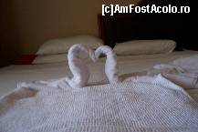 [P15] 2 lebede » foto by Mitzy*
 - 
<span class="allrVoted glyphicon glyphicon-heart hidden" id="av109057"></span>
<a class="m-l-10 hidden" id="sv109057" onclick="voting_Foto_DelVot(,109057,366)" role="button">șterge vot <span class="glyphicon glyphicon-remove"></span></a>
<a id="v9109057" class=" c-red"  onclick="voting_Foto_SetVot(109057)" role="button"><span class="glyphicon glyphicon-heart-empty"></span> <b>LIKE</b> = Votează poza</a> <img class="hidden"  id="f109057W9" src="/imagini/loader.gif" border="0" /><span class="AjErrMes hidden" id="e109057ErM"></span>