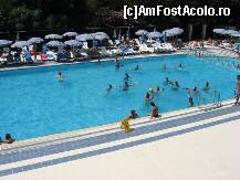 [P33] pollo » foto by Mitzy*
 - 
<span class="allrVoted glyphicon glyphicon-heart hidden" id="av109088"></span>
<a class="m-l-10 hidden" id="sv109088" onclick="voting_Foto_DelVot(,109088,366)" role="button">șterge vot <span class="glyphicon glyphicon-remove"></span></a>
<a id="v9109088" class=" c-red"  onclick="voting_Foto_SetVot(109088)" role="button"><span class="glyphicon glyphicon-heart-empty"></span> <b>LIKE</b> = Votează poza</a> <img class="hidden"  id="f109088W9" src="/imagini/loader.gif" border="0" /><span class="AjErrMes hidden" id="e109088ErM"></span>