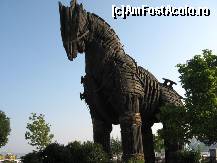 [P34] Calul Troian » foto by Mitzy*
 - 
<span class="allrVoted glyphicon glyphicon-heart hidden" id="av109090"></span>
<a class="m-l-10 hidden" id="sv109090" onclick="voting_Foto_DelVot(,109090,366)" role="button">șterge vot <span class="glyphicon glyphicon-remove"></span></a>
<a id="v9109090" class=" c-red"  onclick="voting_Foto_SetVot(109090)" role="button"><span class="glyphicon glyphicon-heart-empty"></span> <b>LIKE</b> = Votează poza</a> <img class="hidden"  id="f109090W9" src="/imagini/loader.gif" border="0" /><span class="AjErrMes hidden" id="e109090ErM"></span>