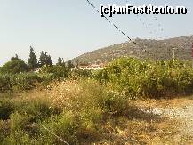 [P16] Cam asa arata zona din jurul hotelului (hotelul se vede in plan secund) » foto by alex1968
 - 
<span class="allrVoted glyphicon glyphicon-heart hidden" id="av118887"></span>
<a class="m-l-10 hidden" id="sv118887" onclick="voting_Foto_DelVot(,118887,366)" role="button">șterge vot <span class="glyphicon glyphicon-remove"></span></a>
<a id="v9118887" class=" c-red"  onclick="voting_Foto_SetVot(118887)" role="button"><span class="glyphicon glyphicon-heart-empty"></span> <b>LIKE</b> = Votează poza</a> <img class="hidden"  id="f118887W9" src="/imagini/loader.gif" border="0" /><span class="AjErrMes hidden" id="e118887ErM"></span>