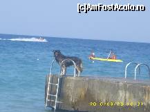 [P04]  -- <small>// FĂRĂ DESCRIERE</small> » foto by roxana_ely*
 - 
<span class="allrVoted glyphicon glyphicon-heart hidden" id="av129769"></span>
<a class="m-l-10 hidden" id="sv129769" onclick="voting_Foto_DelVot(,129769,366)" role="button">șterge vot <span class="glyphicon glyphicon-remove"></span></a>
<a id="v9129769" class=" c-red"  onclick="voting_Foto_SetVot(129769)" role="button"><span class="glyphicon glyphicon-heart-empty"></span> <b>LIKE</b> = Votează poza</a> <img class="hidden"  id="f129769W9" src="/imagini/loader.gif" border="0" /><span class="AjErrMes hidden" id="e129769ErM"></span>