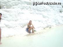 [P01]  -- <small>// FĂRĂ DESCRIERE</small> » foto by bataitza
 - 
<span class="allrVoted glyphicon glyphicon-heart hidden" id="av109120"></span>
<a class="m-l-10 hidden" id="sv109120" onclick="voting_Foto_DelVot(,109120,366)" role="button">șterge vot <span class="glyphicon glyphicon-remove"></span></a>
<a id="v9109120" class=" c-red"  onclick="voting_Foto_SetVot(109120)" role="button"><span class="glyphicon glyphicon-heart-empty"></span> <b>LIKE</b> = Votează poza</a> <img class="hidden"  id="f109120W9" src="/imagini/loader.gif" border="0" /><span class="AjErrMes hidden" id="e109120ErM"></span>