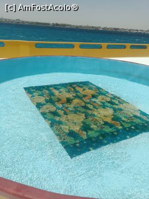 [P06] Piscina pt copii de pe platforma din larg » foto by gianimary
 - 
<span class="allrVoted glyphicon glyphicon-heart hidden" id="av1278523"></span>
<a class="m-l-10 hidden" id="sv1278523" onclick="voting_Foto_DelVot(,1278523,371)" role="button">șterge vot <span class="glyphicon glyphicon-remove"></span></a>
<a id="v91278523" class=" c-red"  onclick="voting_Foto_SetVot(1278523)" role="button"><span class="glyphicon glyphicon-heart-empty"></span> <b>LIKE</b> = Votează poza</a> <img class="hidden"  id="f1278523W9" src="/imagini/loader.gif" border="0" /><span class="AjErrMes hidden" id="e1278523ErM"></span>