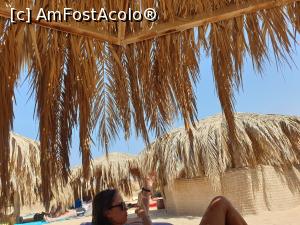 [P04] relaxare la plajă » foto by robert
 - 
<span class="allrVoted glyphicon glyphicon-heart hidden" id="av1109595"></span>
<a class="m-l-10 hidden" id="sv1109595" onclick="voting_Foto_DelVot(,1109595,371)" role="button">șterge vot <span class="glyphicon glyphicon-remove"></span></a>
<a id="v91109595" class=" c-red"  onclick="voting_Foto_SetVot(1109595)" role="button"><span class="glyphicon glyphicon-heart-empty"></span> <b>LIKE</b> = Votează poza</a> <img class="hidden"  id="f1109595W9" src="/imagini/loader.gif" border="0" /><span class="AjErrMes hidden" id="e1109595ErM"></span>