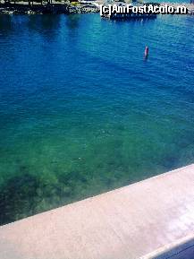 [P40] Paza aceasta am făcut-o pentru că în apă se văd peştii... » foto by Aeerdna*
 - 
<span class="allrVoted glyphicon glyphicon-heart hidden" id="av247481"></span>
<a class="m-l-10 hidden" id="sv247481" onclick="voting_Foto_DelVot(,247481,374)" role="button">șterge vot <span class="glyphicon glyphicon-remove"></span></a>
<a id="v9247481" class=" c-red"  onclick="voting_Foto_SetVot(247481)" role="button"><span class="glyphicon glyphicon-heart-empty"></span> <b>LIKE</b> = Votează poza</a> <img class="hidden"  id="f247481W9" src="/imagini/loader.gif" border="0" /><span class="AjErrMes hidden" id="e247481ErM"></span>