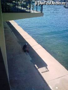 [P42] Ce hram credeţi că poartă omul din imagine şi cam ce vârstă apreciaţi că are?... Credeţi că poate să înoate până la insula Kelyfos? Vedeţi? În asta constă toată ciudăţenia acestor locuri... » foto by Aeerdna*
 - 
<span class="allrVoted glyphicon glyphicon-heart hidden" id="av247483"></span>
<a class="m-l-10 hidden" id="sv247483" onclick="voting_Foto_DelVot(,247483,374)" role="button">șterge vot <span class="glyphicon glyphicon-remove"></span></a>
<a id="v9247483" class=" c-red"  onclick="voting_Foto_SetVot(247483)" role="button"><span class="glyphicon glyphicon-heart-empty"></span> <b>LIKE</b> = Votează poza</a> <img class="hidden"  id="f247483W9" src="/imagini/loader.gif" border="0" /><span class="AjErrMes hidden" id="e247483ErM"></span>