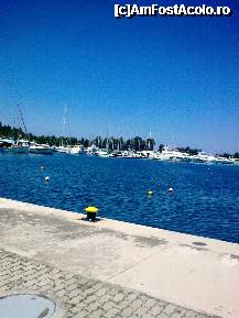 [P96] Porto Carras - Marina » foto by Aeerdna*
 - 
<span class="allrVoted glyphicon glyphicon-heart hidden" id="av247550"></span>
<a class="m-l-10 hidden" id="sv247550" onclick="voting_Foto_DelVot(,247550,374)" role="button">șterge vot <span class="glyphicon glyphicon-remove"></span></a>
<a id="v9247550" class=" c-red"  onclick="voting_Foto_SetVot(247550)" role="button"><span class="glyphicon glyphicon-heart-empty"></span> <b>LIKE</b> = Votează poza</a> <img class="hidden"  id="f247550W9" src="/imagini/loader.gif" border="0" /><span class="AjErrMes hidden" id="e247550ErM"></span>