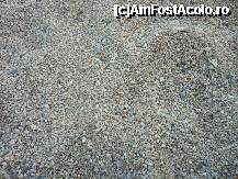 [P10] 'Mostra' din plaja cu pietricele. » foto by Cibardela*
 - 
<span class="allrVoted glyphicon glyphicon-heart hidden" id="av230248"></span>
<a class="m-l-10 hidden" id="sv230248" onclick="voting_Foto_DelVot(,230248,374)" role="button">șterge vot <span class="glyphicon glyphicon-remove"></span></a>
<a id="v9230248" class=" c-red"  onclick="voting_Foto_SetVot(230248)" role="button"><span class="glyphicon glyphicon-heart-empty"></span> <b>LIKE</b> = Votează poza</a> <img class="hidden"  id="f230248W9" src="/imagini/loader.gif" border="0" /><span class="AjErrMes hidden" id="e230248ErM"></span>