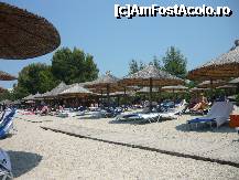 [P11] 98% rusi. (In poza s-ar putea sa fie 100% rusi.) » foto by Cibardela*
 - 
<span class="allrVoted glyphicon glyphicon-heart hidden" id="av230249"></span>
<a class="m-l-10 hidden" id="sv230249" onclick="voting_Foto_DelVot(,230249,374)" role="button">șterge vot <span class="glyphicon glyphicon-remove"></span></a>
<a id="v9230249" class=" c-red"  onclick="voting_Foto_SetVot(230249)" role="button"><span class="glyphicon glyphicon-heart-empty"></span> <b>LIKE</b> = Votează poza</a> <img class="hidden"  id="f230249W9" src="/imagini/loader.gif" border="0" /><span class="AjErrMes hidden" id="e230249ErM"></span>