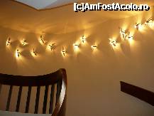 [P14] Detaliu decor de pe 'casa scarilor' Meliton » foto by Cibardela*
 - 
<span class="allrVoted glyphicon glyphicon-heart hidden" id="av230252"></span>
<a class="m-l-10 hidden" id="sv230252" onclick="voting_Foto_DelVot(,230252,374)" role="button">șterge vot <span class="glyphicon glyphicon-remove"></span></a>
<a id="v9230252" class=" c-red"  onclick="voting_Foto_SetVot(230252)" role="button"><span class="glyphicon glyphicon-heart-empty"></span> <b>LIKE</b> = Votează poza</a> <img class="hidden"  id="f230252W9" src="/imagini/loader.gif" border="0" /><span class="AjErrMes hidden" id="e230252ErM"></span>