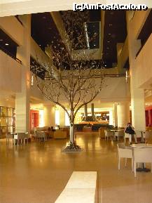 [P16] Lobby si receptia. » foto by Cibardela*
 - 
<span class="allrVoted glyphicon glyphicon-heart hidden" id="av230254"></span>
<a class="m-l-10 hidden" id="sv230254" onclick="voting_Foto_DelVot(,230254,374)" role="button">șterge vot <span class="glyphicon glyphicon-remove"></span></a>
<a id="v9230254" class=" c-red"  onclick="voting_Foto_SetVot(230254)" role="button"><span class="glyphicon glyphicon-heart-empty"></span> <b>LIKE</b> = Votează poza</a> <img class="hidden"  id="f230254W9" src="/imagini/loader.gif" border="0" /><span class="AjErrMes hidden" id="e230254ErM"></span>