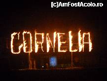 [P15] Cornelia on fire - la seara de Gala » foto by cryss27
 - 
<span class="allrVoted glyphicon glyphicon-heart hidden" id="av228037"></span>
<a class="m-l-10 hidden" id="sv228037" onclick="voting_Foto_DelVot(,228037,4)" role="button">șterge vot <span class="glyphicon glyphicon-remove"></span></a>
<a id="v9228037" class=" c-red"  onclick="voting_Foto_SetVot(228037)" role="button"><span class="glyphicon glyphicon-heart-empty"></span> <b>LIKE</b> = Votează poza</a> <img class="hidden"  id="f228037W9" src="/imagini/loader.gif" border="0" /><span class="AjErrMes hidden" id="e228037ErM"></span>