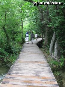 [P19] Potecă pietonală din lemn, în Parcul Krka, Sibenik, Croaţia.  » foto by traian.leuca †
 - 
<span class="allrVoted glyphicon glyphicon-heart hidden" id="av464040"></span>
<a class="m-l-10 hidden" id="sv464040" onclick="voting_Foto_DelVot(,464040,413)" role="button">șterge vot <span class="glyphicon glyphicon-remove"></span></a>
<a id="v9464040" class=" c-red"  onclick="voting_Foto_SetVot(464040)" role="button"><span class="glyphicon glyphicon-heart-empty"></span> <b>LIKE</b> = Votează poza</a> <img class="hidden"  id="f464040W9" src="/imagini/loader.gif" border="0" /><span class="AjErrMes hidden" id="e464040ErM"></span>