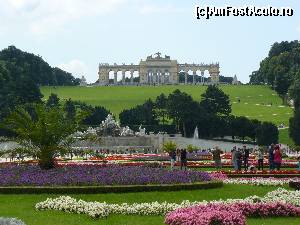 [P45] Parcul Schönbrunn » foto by stellinna
 - 
<span class="allrVoted glyphicon glyphicon-heart hidden" id="av678125"></span>
<a class="m-l-10 hidden" id="sv678125" onclick="voting_Foto_DelVot(,678125,461)" role="button">șterge vot <span class="glyphicon glyphicon-remove"></span></a>
<a id="v9678125" class=" c-red"  onclick="voting_Foto_SetVot(678125)" role="button"><span class="glyphicon glyphicon-heart-empty"></span> <b>LIKE</b> = Votează poza</a> <img class="hidden"  id="f678125W9" src="/imagini/loader.gif" border="0" /><span class="AjErrMes hidden" id="e678125ErM"></span>