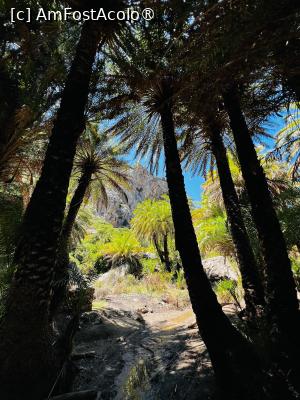 [P29] Preveli Palm beach » foto by HelloAlex
 - 
<span class="allrVoted glyphicon glyphicon-heart hidden" id="av1431076"></span>
<a class="m-l-10 hidden" id="sv1431076" onclick="voting_Foto_DelVot(,1431076,481)" role="button">șterge vot <span class="glyphicon glyphicon-remove"></span></a>
<a id="v91431076" class=" c-red"  onclick="voting_Foto_SetVot(1431076)" role="button"><span class="glyphicon glyphicon-heart-empty"></span> <b>LIKE</b> = Votează poza</a> <img class="hidden"  id="f1431076W9" src="/imagini/loader.gif" border="0" /><span class="AjErrMes hidden" id="e1431076ErM"></span>