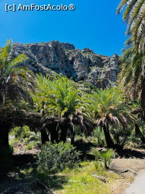 [P30] Preveli Palm beach » foto by HelloAlex
 - 
<span class="allrVoted glyphicon glyphicon-heart hidden" id="av1431077"></span>
<a class="m-l-10 hidden" id="sv1431077" onclick="voting_Foto_DelVot(,1431077,481)" role="button">șterge vot <span class="glyphicon glyphicon-remove"></span></a>
<a id="v91431077" class=" c-red"  onclick="voting_Foto_SetVot(1431077)" role="button"><span class="glyphicon glyphicon-heart-empty"></span> <b>LIKE</b> = Votează poza</a> <img class="hidden"  id="f1431077W9" src="/imagini/loader.gif" border="0" /><span class="AjErrMes hidden" id="e1431077ErM"></span>