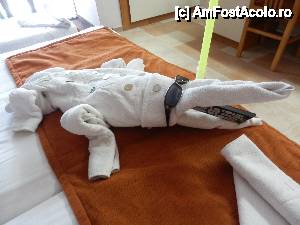 [P05] una dintre minunile cameristei! in fiecare zi se schimba toate prosoapele si se aranjeaza in fel si chip: vapor, lebede, catel, elefant, broasca testoasa, crocodil... in functie de ce gaseste in camera (tubul si monedele  noastre, telecomanda televizorului, iar ochelarii ii gasise pe hol probabil. » foto by laurentiu2004
 - 
<span class="allrVoted glyphicon glyphicon-heart hidden" id="av449257"></span>
<a class="m-l-10 hidden" id="sv449257" onclick="voting_Foto_DelVot(,449257,549)" role="button">șterge vot <span class="glyphicon glyphicon-remove"></span></a>
<a id="v9449257" class=" c-red"  onclick="voting_Foto_SetVot(449257)" role="button"><span class="glyphicon glyphicon-heart-empty"></span> <b>LIKE</b> = Votează poza</a> <img class="hidden"  id="f449257W9" src="/imagini/loader.gif" border="0" /><span class="AjErrMes hidden" id="e449257ErM"></span>