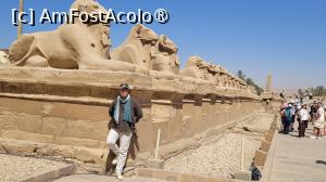 [P02] Templul Kernak, Luxor » foto by vlado2
 - 
<span class="allrVoted glyphicon glyphicon-heart hidden" id="av1522820"></span>
<a class="m-l-10 hidden" id="sv1522820" onclick="voting_Foto_DelVot(,1522820,566)" role="button">șterge vot <span class="glyphicon glyphicon-remove"></span></a>
<a id="v91522820" class=" c-red"  onclick="voting_Foto_SetVot(1522820)" role="button"><span class="glyphicon glyphicon-heart-empty"></span> <b>LIKE</b> = Votează poza</a> <img class="hidden"  id="f1522820W9" src="/imagini/loader.gif" border="0" /><span class="AjErrMes hidden" id="e1522820ErM"></span>