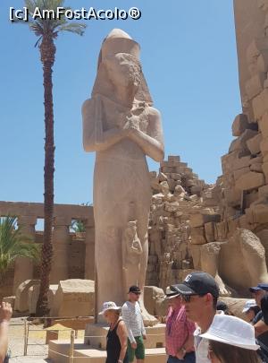 [P08] Statuia gigantica a lui Ramses al II-lea, unul dintre cei mai longevivi si iubiti dintre faraoni » foto by dorgo
 - 
<span class="allrVoted glyphicon glyphicon-heart hidden" id="av1074245"></span>
<a class="m-l-10 hidden" id="sv1074245" onclick="voting_Foto_DelVot(,1074245,566)" role="button">șterge vot <span class="glyphicon glyphicon-remove"></span></a>
<a id="v91074245" class=" c-red"  onclick="voting_Foto_SetVot(1074245)" role="button"><span class="glyphicon glyphicon-heart-empty"></span> <b>LIKE</b> = Votează poza</a> <img class="hidden"  id="f1074245W9" src="/imagini/loader.gif" border="0" /><span class="AjErrMes hidden" id="e1074245ErM"></span>