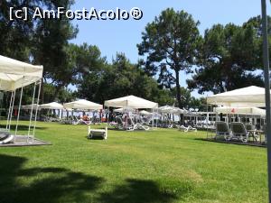 [P79] Rixos Sungate - zona verde de langă piscină, preferata noastră » foto by Cris
 - 
<span class="allrVoted glyphicon glyphicon-heart hidden" id="av977186"></span>
<a class="m-l-10 hidden" id="sv977186" onclick="voting_Foto_DelVot(,977186,58)" role="button">șterge vot <span class="glyphicon glyphicon-remove"></span></a>
<a id="v9977186" class=" c-red"  onclick="voting_Foto_SetVot(977186)" role="button"><span class="glyphicon glyphicon-heart-empty"></span> <b>LIKE</b> = Votează poza</a> <img class="hidden"  id="f977186W9" src="/imagini/loader.gif" border="0" /><span class="AjErrMes hidden" id="e977186ErM"></span>