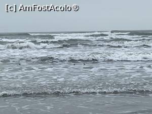 [P04] Marea Neagră la Mamaia Nord în februarie 2026 » foto by Yersinia Pestis
 - 
<span class="allrVoted glyphicon glyphicon-heart hidden" id="av1518532"></span>
<a class="m-l-10 hidden" id="sv1518532" onclick="voting_Foto_DelVot(,1518532,766)" role="button">șterge vot <span class="glyphicon glyphicon-remove"></span></a>
<a id="v91518532" class=" c-red"  onclick="voting_Foto_SetVot(1518532)" role="button"><span class="glyphicon glyphicon-heart-empty"></span> <b>LIKE</b> = Votează poza</a> <img class="hidden"  id="f1518532W9" src="/imagini/loader.gif" border="0" /><span class="AjErrMes hidden" id="e1518532ErM"></span>