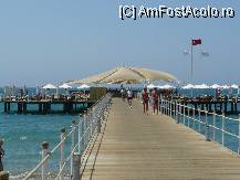 [P04]  -- <small>// FĂRĂ DESCRIERE</small> » foto by viorel gherlan
 - 
<span class="allrVoted glyphicon glyphicon-heart hidden" id="av90200"></span>
<a class="m-l-10 hidden" id="sv90200" onclick="voting_Foto_DelVot(,90200,77)" role="button">șterge vot <span class="glyphicon glyphicon-remove"></span></a>
<a id="v990200" class=" c-red"  onclick="voting_Foto_SetVot(90200)" role="button"><span class="glyphicon glyphicon-heart-empty"></span> <b>LIKE</b> = Votează poza</a> <img class="hidden"  id="f90200W9" src="/imagini/loader.gif" border="0" /><span class="AjErrMes hidden" id="e90200ErM"></span>