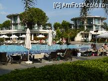 [P08]  -- <small>// FĂRĂ DESCRIERE</small> » foto by viorel gherlan
 - 
<span class="allrVoted glyphicon glyphicon-heart hidden" id="av90206"></span>
<a class="m-l-10 hidden" id="sv90206" onclick="voting_Foto_DelVot(,90206,77)" role="button">șterge vot <span class="glyphicon glyphicon-remove"></span></a>
<a id="v990206" class=" c-red"  onclick="voting_Foto_SetVot(90206)" role="button"><span class="glyphicon glyphicon-heart-empty"></span> <b>LIKE</b> = Votează poza</a> <img class="hidden"  id="f90206W9" src="/imagini/loader.gif" border="0" /><span class="AjErrMes hidden" id="e90206ErM"></span>