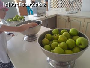 [P57] Hotel Majestic Mamaia - prin restaurant, fructe » foto by nicole33
 - 
<span class="allrVoted glyphicon glyphicon-heart hidden" id="av1511852"></span>
<a class="m-l-10 hidden" id="sv1511852" onclick="voting_Foto_DelVot(,1511852,782)" role="button">șterge vot <span class="glyphicon glyphicon-remove"></span></a>
<a id="v91511852" class=" c-red"  onclick="voting_Foto_SetVot(1511852)" role="button"><span class="glyphicon glyphicon-heart-empty"></span> <b>LIKE</b> = Votează poza</a> <img class="hidden"  id="f1511852W9" src="/imagini/loader.gif" border="0" /><span class="AjErrMes hidden" id="e1511852ErM"></span>