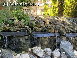 [P73] Hotel Majestic Mamaia - prin grădină » foto by nicole33
 - 
<span class="allrVoted glyphicon glyphicon-heart hidden" id="av1511868"></span>
<a class="m-l-10 hidden" id="sv1511868" onclick="voting_Foto_DelVot(,1511868,782)" role="button">șterge vot <span class="glyphicon glyphicon-remove"></span></a>
<a id="v91511868" class=" c-red"  onclick="voting_Foto_SetVot(1511868)" role="button"><span class="glyphicon glyphicon-heart-empty"></span> <b>LIKE</b> = Votează poza</a> <img class="hidden"  id="f1511868W9" src="/imagini/loader.gif" border="0" /><span class="AjErrMes hidden" id="e1511868ErM"></span>