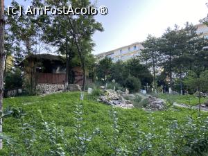 [P74] Hotel Majestic Mamaia - prin grădină » foto by nicole33
 - 
<span class="allrVoted glyphicon glyphicon-heart hidden" id="av1511869"></span>
<a class="m-l-10 hidden" id="sv1511869" onclick="voting_Foto_DelVot(,1511869,782)" role="button">șterge vot <span class="glyphicon glyphicon-remove"></span></a>
<a id="v91511869" class=" c-red"  onclick="voting_Foto_SetVot(1511869)" role="button"><span class="glyphicon glyphicon-heart-empty"></span> <b>LIKE</b> = Votează poza</a> <img class="hidden"  id="f1511869W9" src="/imagini/loader.gif" border="0" /><span class="AjErrMes hidden" id="e1511869ErM"></span>