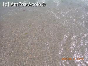 [P90] nisip în apă » foto by nicole33
 - 
<span class="allrVoted glyphicon glyphicon-heart hidden" id="av1511885"></span>
<a class="m-l-10 hidden" id="sv1511885" onclick="voting_Foto_DelVot(,1511885,782)" role="button">șterge vot <span class="glyphicon glyphicon-remove"></span></a>
<a id="v91511885" class=" c-red"  onclick="voting_Foto_SetVot(1511885)" role="button"><span class="glyphicon glyphicon-heart-empty"></span> <b>LIKE</b> = Votează poza</a> <img class="hidden"  id="f1511885W9" src="/imagini/loader.gif" border="0" /><span class="AjErrMes hidden" id="e1511885ErM"></span>