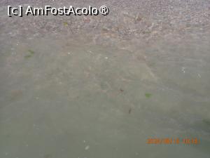 [P91] marea la mal » foto by nicole33
 - 
<span class="allrVoted glyphicon glyphicon-heart hidden" id="av1511886"></span>
<a class="m-l-10 hidden" id="sv1511886" onclick="voting_Foto_DelVot(,1511886,782)" role="button">șterge vot <span class="glyphicon glyphicon-remove"></span></a>
<a id="v91511886" class=" c-red"  onclick="voting_Foto_SetVot(1511886)" role="button"><span class="glyphicon glyphicon-heart-empty"></span> <b>LIKE</b> = Votează poza</a> <img class="hidden"  id="f1511886W9" src="/imagini/loader.gif" border="0" /><span class="AjErrMes hidden" id="e1511886ErM"></span>