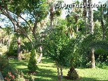 [P01] Gradina » foto by bogdan32
 - 
<span class="allrVoted glyphicon glyphicon-heart hidden" id="av101756"></span>
<a class="m-l-10 hidden" id="sv101756" onclick="voting_Foto_DelVot(,101756,8)" role="button">șterge vot <span class="glyphicon glyphicon-remove"></span></a>
<a id="v9101756" class=" c-red"  onclick="voting_Foto_SetVot(101756)" role="button"><span class="glyphicon glyphicon-heart-empty"></span> <b>LIKE</b> = Votează poza</a> <img class="hidden"  id="f101756W9" src="/imagini/loader.gif" border="0" /><span class="AjErrMes hidden" id="e101756ErM"></span>