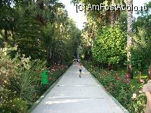 [P11] gradina » foto by bogdan32
 - 
<span class="allrVoted glyphicon glyphicon-heart hidden" id="av101766"></span>
<a class="m-l-10 hidden" id="sv101766" onclick="voting_Foto_DelVot(,101766,8)" role="button">șterge vot <span class="glyphicon glyphicon-remove"></span></a>
<a id="v9101766" class=" c-red"  onclick="voting_Foto_SetVot(101766)" role="button"><span class="glyphicon glyphicon-heart-empty"></span> <b>LIKE</b> = Votează poza</a> <img class="hidden"  id="f101766W9" src="/imagini/loader.gif" border="0" /><span class="AjErrMes hidden" id="e101766ErM"></span>