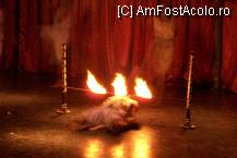 [P13] Seara acrobatilor din Kenya » foto by bogdan32
 - 
<span class="allrVoted glyphicon glyphicon-heart hidden" id="av101768"></span>
<a class="m-l-10 hidden" id="sv101768" onclick="voting_Foto_DelVot(,101768,8)" role="button">șterge vot <span class="glyphicon glyphicon-remove"></span></a>
<a id="v9101768" class=" c-red"  onclick="voting_Foto_SetVot(101768)" role="button"><span class="glyphicon glyphicon-heart-empty"></span> <b>LIKE</b> = Votează poza</a> <img class="hidden"  id="f101768W9" src="/imagini/loader.gif" border="0" /><span class="AjErrMes hidden" id="e101768ErM"></span>