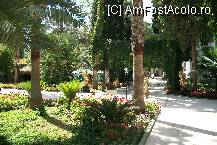 [P17] tot gradina - minunat » foto by bogdan32
 - 
<span class="allrVoted glyphicon glyphicon-heart hidden" id="av101772"></span>
<a class="m-l-10 hidden" id="sv101772" onclick="voting_Foto_DelVot(,101772,8)" role="button">șterge vot <span class="glyphicon glyphicon-remove"></span></a>
<a id="v9101772" class=" c-red"  onclick="voting_Foto_SetVot(101772)" role="button"><span class="glyphicon glyphicon-heart-empty"></span> <b>LIKE</b> = Votează poza</a> <img class="hidden"  id="f101772W9" src="/imagini/loader.gif" border="0" /><span class="AjErrMes hidden" id="e101772ErM"></span>