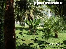 [P10]  -- <small>// FĂRĂ DESCRIERE</small> » foto by antalgbr
 - 
<span class="allrVoted glyphicon glyphicon-heart hidden" id="av109917"></span>
<a class="m-l-10 hidden" id="sv109917" onclick="voting_Foto_DelVot(,109917,8)" role="button">șterge vot <span class="glyphicon glyphicon-remove"></span></a>
<a id="v9109917" class=" c-red"  onclick="voting_Foto_SetVot(109917)" role="button"><span class="glyphicon glyphicon-heart-empty"></span> <b>LIKE</b> = Votează poza</a> <img class="hidden"  id="f109917W9" src="/imagini/loader.gif" border="0" /><span class="AjErrMes hidden" id="e109917ErM"></span>