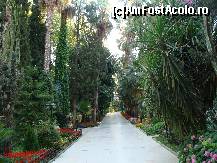 [P101] Comentariile nu mai au rost. » foto by antalgbr
 - 
<span class="allrVoted glyphicon glyphicon-heart hidden" id="av115746"></span>
<a class="m-l-10 hidden" id="sv115746" onclick="voting_Foto_DelVot(,115746,8)" role="button">șterge vot <span class="glyphicon glyphicon-remove"></span></a>
<a id="v9115746" class=" c-red"  onclick="voting_Foto_SetVot(115746)" role="button"><span class="glyphicon glyphicon-heart-empty"></span> <b>LIKE</b> = Votează poza</a> <img class="hidden"  id="f115746W9" src="/imagini/loader.gif" border="0" /><span class="AjErrMes hidden" id="e115746ErM"></span>