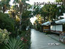 [P11]  -- <small>// FĂRĂ DESCRIERE</small> » foto by antalgbr
 - 
<span class="allrVoted glyphicon glyphicon-heart hidden" id="av109921"></span>
<a class="m-l-10 hidden" id="sv109921" onclick="voting_Foto_DelVot(,109921,8)" role="button">șterge vot <span class="glyphicon glyphicon-remove"></span></a>
<a id="v9109921" class=" c-red"  onclick="voting_Foto_SetVot(109921)" role="button"><span class="glyphicon glyphicon-heart-empty"></span> <b>LIKE</b> = Votează poza</a> <img class="hidden"  id="f109921W9" src="/imagini/loader.gif" border="0" /><span class="AjErrMes hidden" id="e109921ErM"></span>